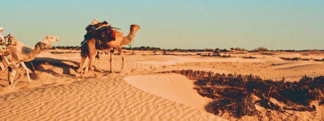 La Grande Dune, Tunisia
